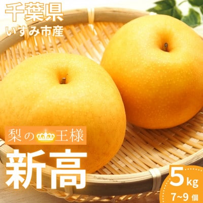 いすみ市産新高梨　約5kg(7～9個)