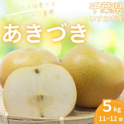 【2026年発送先行受付】いすみ市産あきづき梨　約5kg(11～12個)