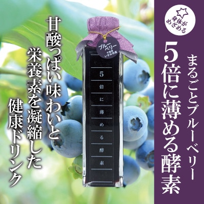 5倍に薄める酵素・まるごとブルーベリー【配送不可地域：離島】