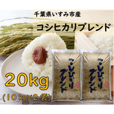 【千葉県いすみ市産】コシヒカリブレンド　精米20kg(10kg×2袋)