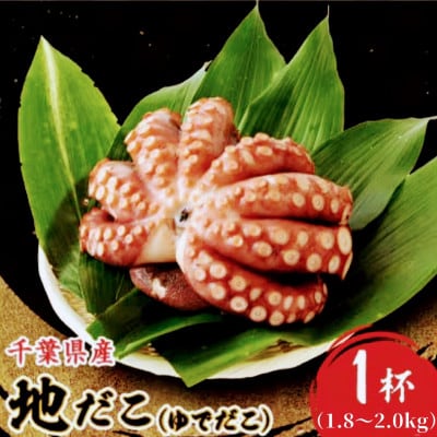 地だこ 1杯 (1.8kg～2.0kg)【配送不可地域：離島】