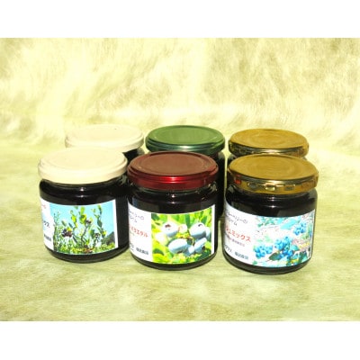 いすみ産(自家農園)ブルーベリーのこだわりジャム4種6個セット(各180g)