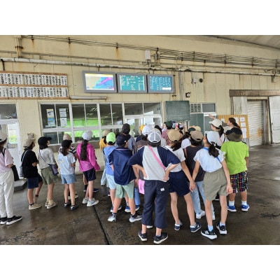 ISUMIんツアー  いすみ市　潮風を感じる!干物作り体験付き大原漁港スタディーツアー