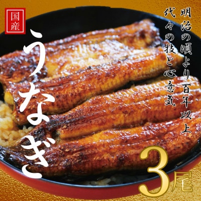 鰻の老舗　千葉県いすみ市藤井のうなぎ白焼き(3匹)【配送不可地域：離島・沖縄県】