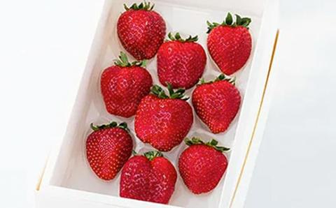 先行予約【2025年12月中旬より順次発送】大網白里市発祥のイチゴ「真紅の美鈴」９粒 M006