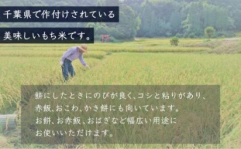 令和7年産 千葉県産「もち米」10kg（5kg×2袋） A010