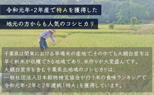 ＜3ヶ月定期便＞ 令和7年産 千葉県産「コシヒカリ」無洗米 10kg×3ヶ月連続 計30kg　 ふるさと納税 米 定期 無洗米 コシヒカリ こしひかり 千葉県 大網白里市 A059