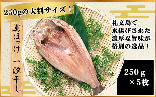 真ほっけ一汐干し 250g×5枚(gset-11) AJ006