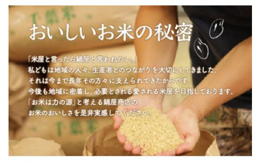 【最短2～7営業日出荷】令和7年産 千葉県産粒すけ 精米 10kg (5kg×2袋) E017