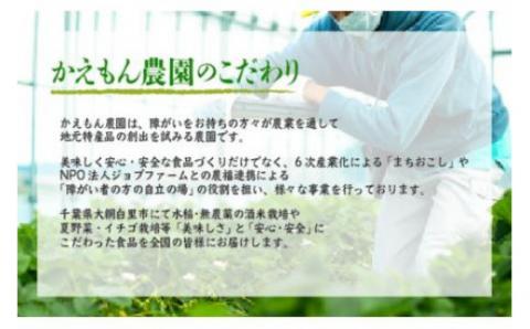 【農福連携】千葉県 大網白里市 五百万石 自然派日本酒「幸SACHI」1800ml M003