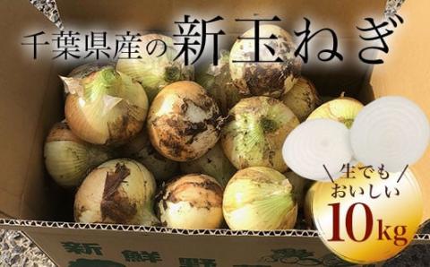 【先行受付】千葉県産 新玉ねぎ10kg 生でもおいしい！【令和8年5月上旬から順次発送】 AD001