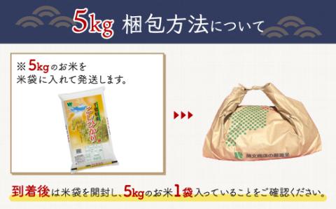 ＜6ヶ月定期便＞ 令和7年産 千葉県産「コシヒカリ」5kg×6ヶ月連続 計30kg A026