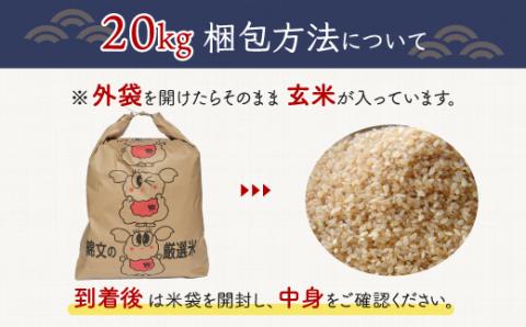 令和6年産 千葉県産エコ米「コシヒカリ」玄米20kg（20kg×1袋） A008
