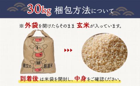 令和5年産 千葉県産エコ米「コシヒカリ」玄米30kg（30kg×1袋） A015 