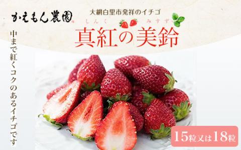 先行予約【2025年12月中旬より順次発送】大網白里市発祥のイチゴ「真紅の美鈴」15粒又は18粒 M005