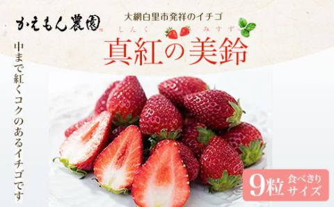 先行予約【2025年12月中旬より順次発送】大網白里市発祥のイチゴ「真紅の美鈴」９粒 M006