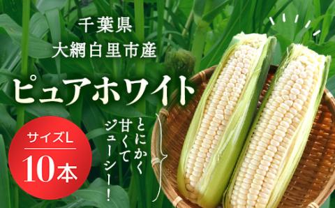 【数量限定！2025年6月下旬より順次発送】千葉県産　トウモロコシ　ピュアホワイト　サイズＬ 10本 AQ001