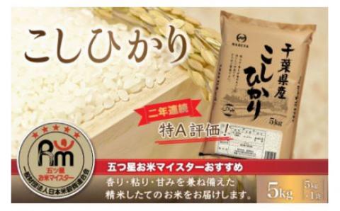 令和7年産 2年連続特A評価!千葉県産コシヒカリ5kg（5kg×1袋） E006