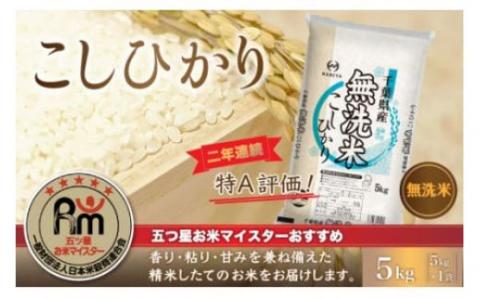 令和7年産 2年連続特A評価!千葉県産コシヒカリ5kg無洗米（5kg×1袋） E008