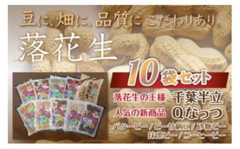 千葉県 大網白里市産 落花生10袋セット I001