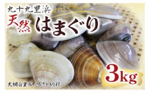 九十九里浜　天然はまぐり　3kg【厳選】（10月上旬より順次発送予定） P002