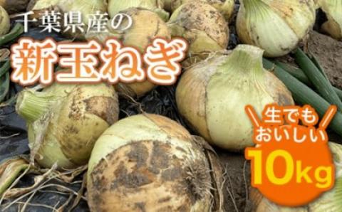 【先行受付】千葉県産 新玉ねぎ10kg 生でもおいしい！【令和8年5月上旬から順次発送】 AD001