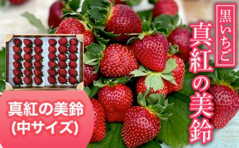 【2026年1月下旬発送開始】黒いちご・真紅の美鈴（中サイズ）  AB003