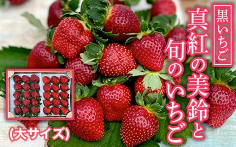 【2026年1月下旬発送開始】＜黒いちご＞真紅の美鈴と旬のいちご食べ比べセット（大サイズ）  AB002