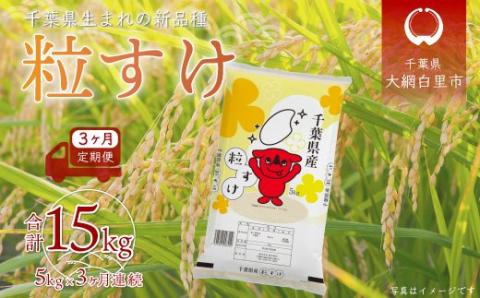＜3ヶ月定期便＞ 令和7年産  千葉県産「粒すけ」5kg×3ヶ月連続 計15kg A029