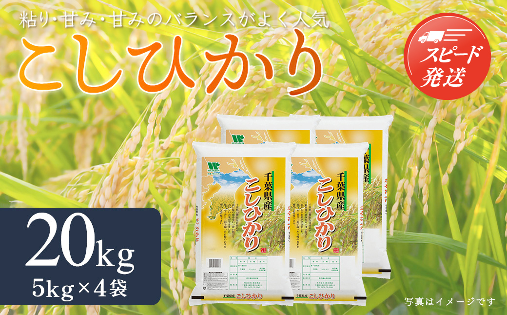 【最短2～7営業日出荷】令和7年産 千葉県産「コシヒカリ」20kg（5kg×4袋）