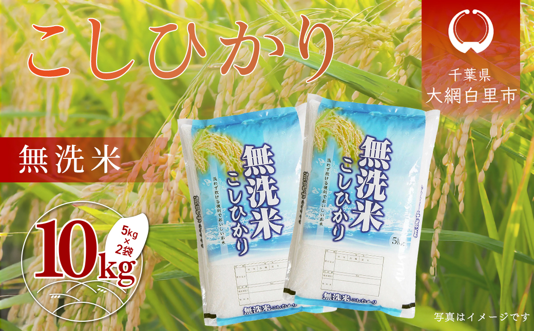 令和7年産 千葉県産「無洗米コシヒカリ」10kg（5kg×2袋） A041