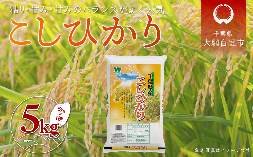 令和7年産 千葉県産「コシヒカリ」5kg（5kg×1袋） お米 5kg 千葉県産 大網白里市 コシヒカリ 米 精米 こめ 送料無料 A052