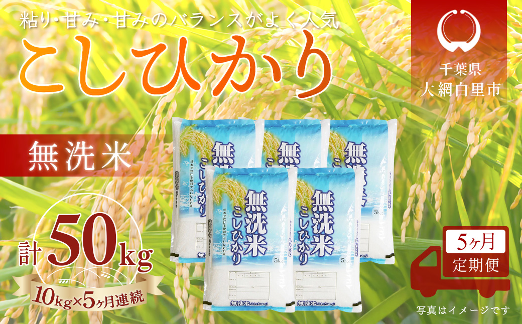 ＜5か月定期便＞ 千葉県産「コシヒカリ」無洗米 10kg×5か月連続 計50kg A079