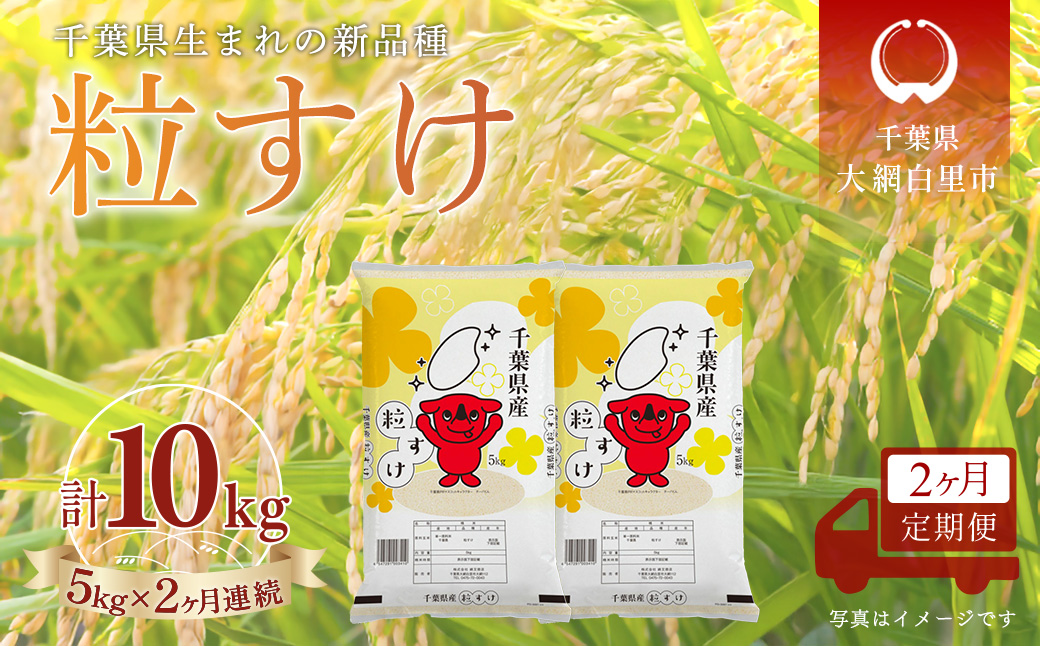 ＜2か月定期便＞ 千葉県産「粒すけ」精米 5kg×2か月連続 計10kg A082