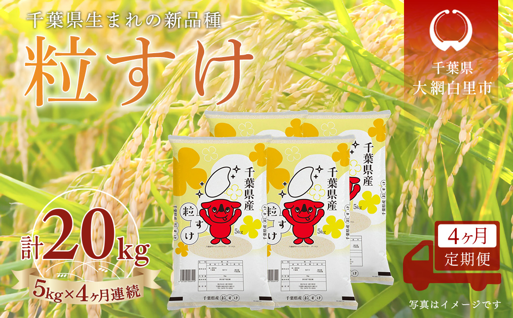 ＜4か月定期便＞ 千葉県産「粒すけ」精米 5kg×4か月連続 計20kg A083