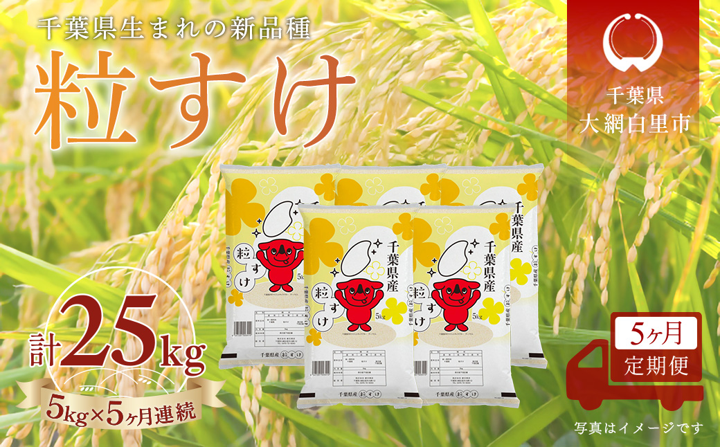 ＜5か月定期便＞ 千葉県産「粒すけ」精米 5kg×5か月連続 計25kg A084