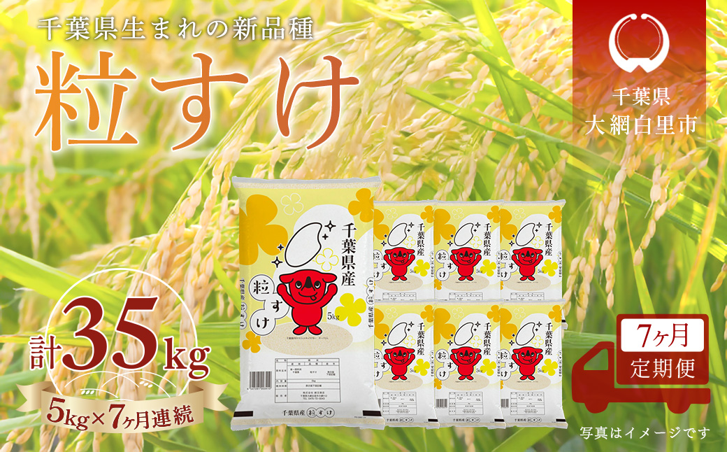 ＜7か月定期便＞ 千葉県産「粒すけ」精米 5kg×7か月連続 計35kg A085