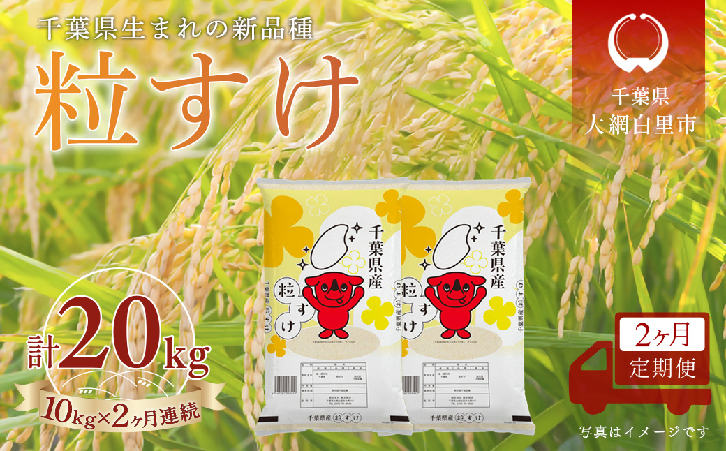 ＜2か月定期便＞ 千葉県産「粒すけ」精米 10kg×2か月連続 計20kg A086