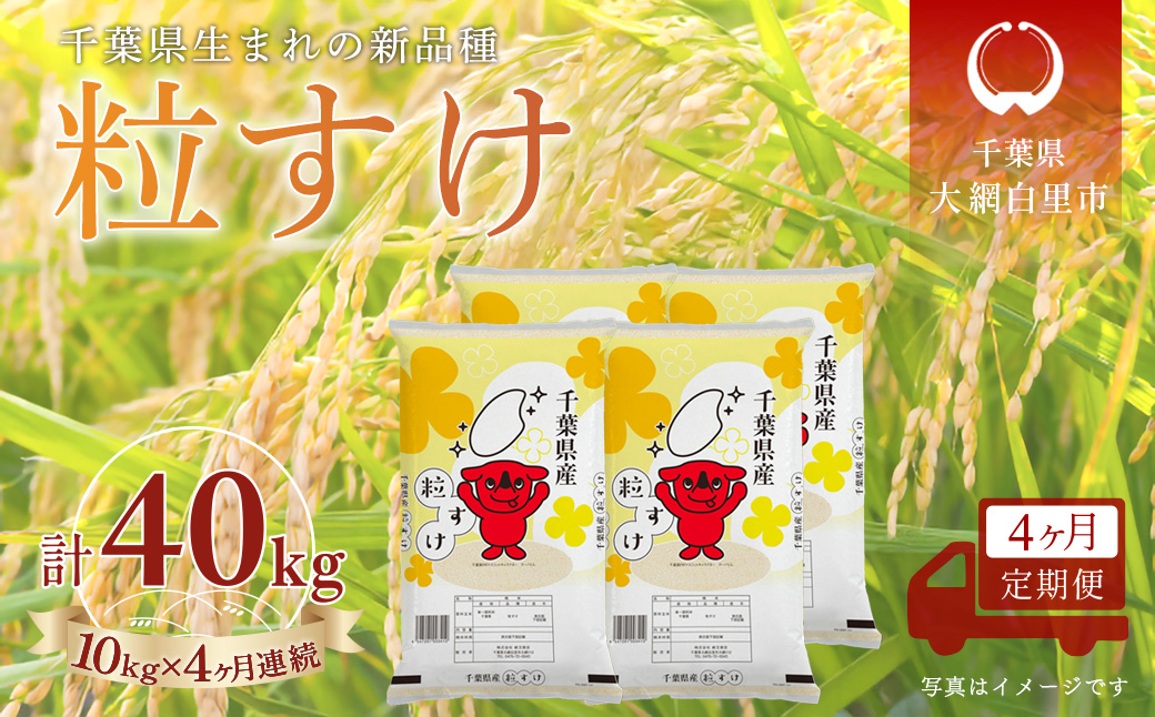 ＜4か月定期便＞ 千葉県産「粒すけ」精米 10kg×4か月連続 計40kg A087
