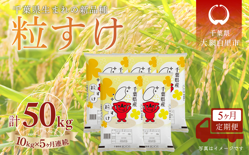 ＜5か月定期便＞ 千葉県産「粒すけ」精米 10kg×5か月連続 計50kg A088
