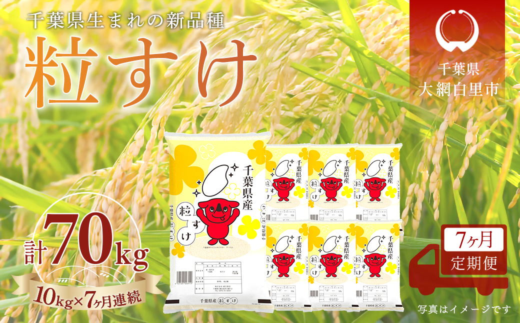 ＜7か月定期便＞ 千葉県産「粒すけ」精米 10kg×7か月連続 計70kg A089