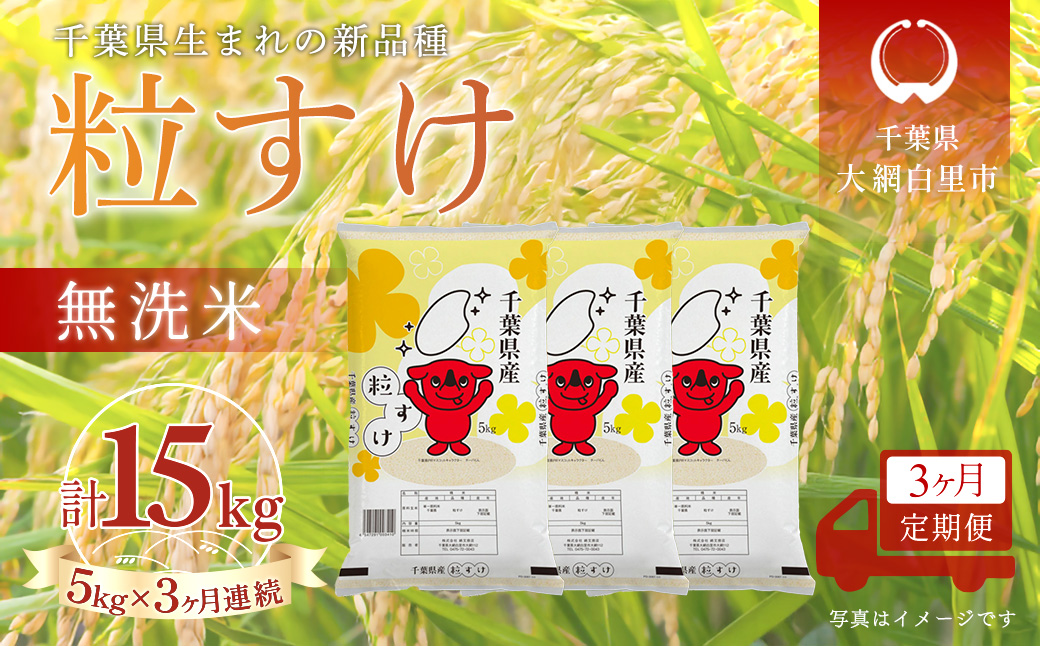＜3か月定期便＞ 千葉県産「粒すけ」無洗米 5kg×3か月連続 計15kg A091