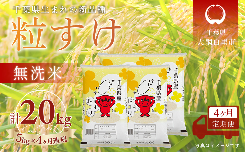 ＜4か月定期便＞ 千葉県産「粒すけ」無洗米 5kg×4か月連続 計20kg A092