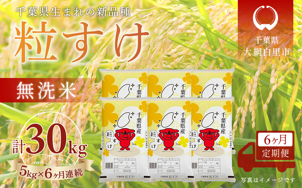 ＜6か月定期便＞ 千葉県産「粒すけ」無洗米 5kg×6か月連続 計30kg A094