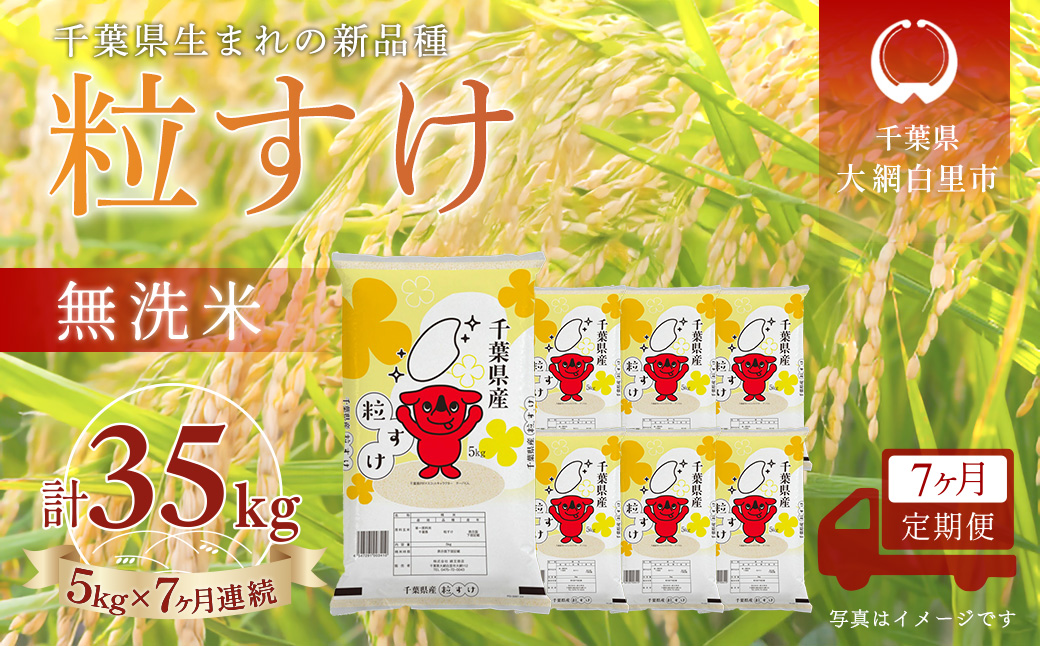＜7か月定期便＞ 千葉県産「粒すけ」無洗米 5kg×7か月連続 計35kg A095