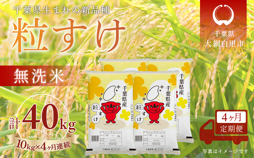 ＜4か月定期便＞ 千葉県産「粒すけ」無洗米 10kg×4か月連続 計40kg A098