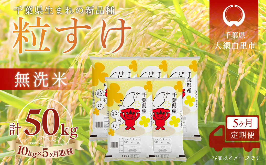 ＜5か月定期便＞ 千葉県産「粒すけ」無洗米 10kg×5か月連続 計50kg A099