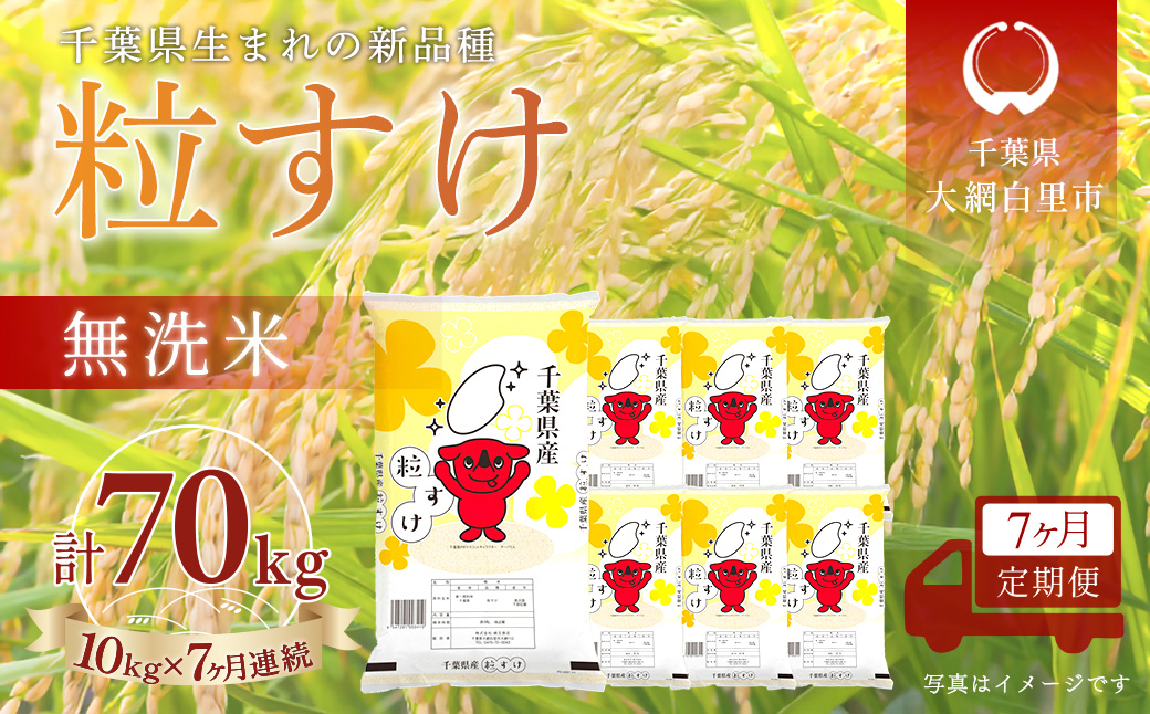 ＜7か月定期便＞ 千葉県産「粒すけ」無洗米 10kg×7か月連続 計70kg A101