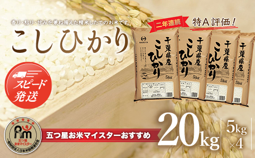 【最短2～7営業日出荷】令和7年産 2年連続特A評価!千葉県産コシヒカリ20kg（5kg×4袋）