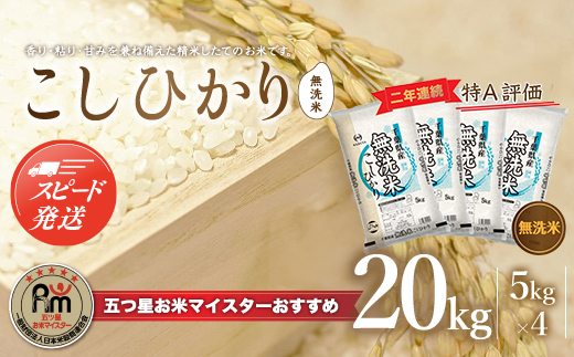 【最短2～7営業日出荷】令和7年産 2年連続特A評価!千葉県産コシヒカリ20kg無洗米（5kg×4袋）